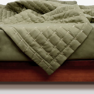 Home Crayons CloudTouch™ 8-Piece AC Bedding Set | Complete Bedroom Upgrade in One Set | Olive Grove