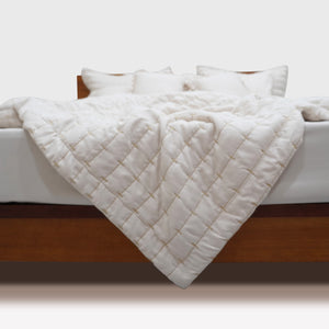 Home Crayons CloudTouch™ Comforter Set | All-Season | 33% Oversized | Includes 2 Pillow Covers & 2 Cushion Covers | Morning Glory